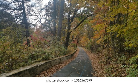 Trail Through The Woods In Fall, Port Jervis, New York