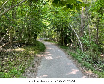 Trail Through The Woods In Mariner’s Park, Newport News,  VA.