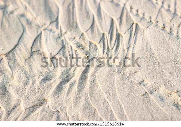 Trail from the tractor in the
sand ground on the nature outdoors. Texture, background,
sample