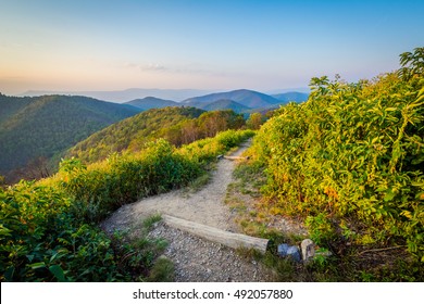 Trail And View Of The Blue Ridge Mountains In Shenandoah National Park, Virginia.