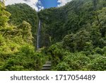 Trail to Waimoku Falls, Maui