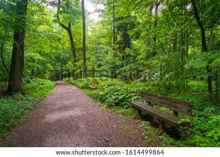 Trail in the Woods at The Lily Dale assembly in New York