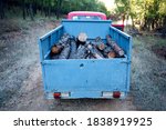Trailer full of pine logs