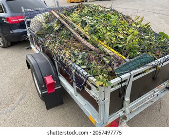 Trailer With Green Waste For Recycling