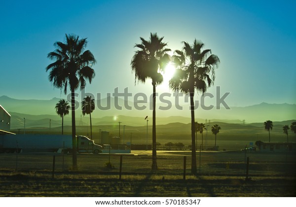 trailer\
unloading with palms and sunset in\
California