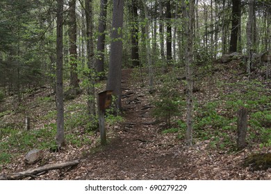 Trailhead For Ferd's Bog, Old Forge, New York