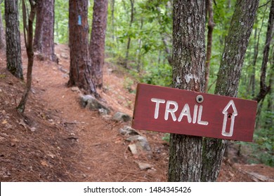 A Trailhead Sign And Blue Blaze Marking Along A Trail Through The Forest