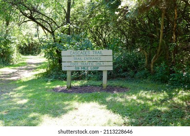 The Trailhead Sign In The Forest On A Summer Day.