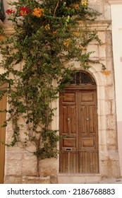 Trailing Plant Climber Creeper By Old Brown Door Archway With Stone Wall