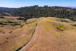 Trails Meander Through The Grass-covered Hills Of The East Bay, Just A Few Miles From San Francisco Bay In Northern California. This Area Provides Open Spaces For Hikers, Bikers, And Grazing Cows.
