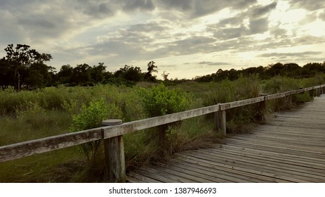 Trails In Pine Gully Park