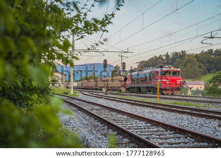 Train carrying newly produced cars. Freight train with loaded automobiles bringing them from port to central europe in early morning.