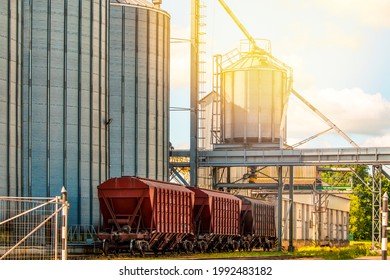 Train cars with grain arrived at elevators in the agricultural sector