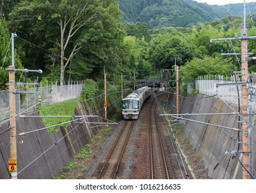 Train in the forest