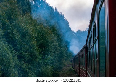 Train in forest
