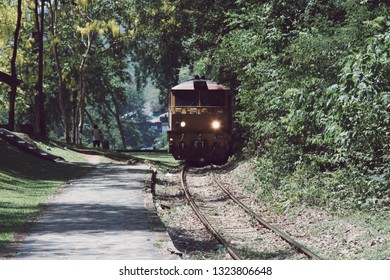 Train in the forest