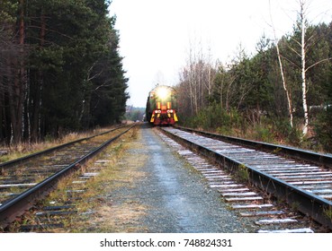 train in the forest