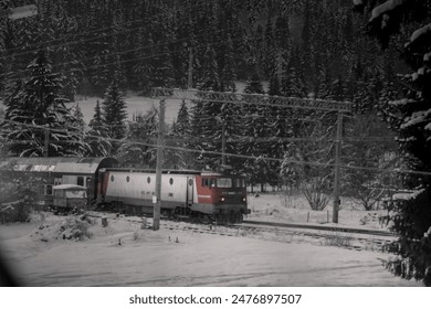 A train in the forest in winter
