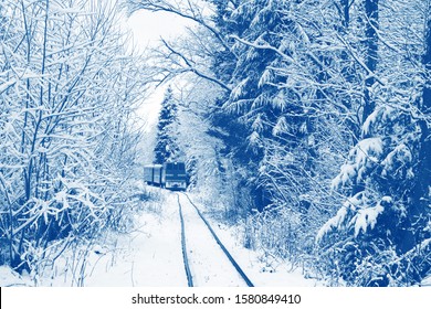 A Train Going Among Gorgeous White Winter Forest Like Polar Express, Winter Travelling, Outdoor, Trendy Toned Photo