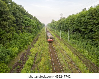 Train going in forest