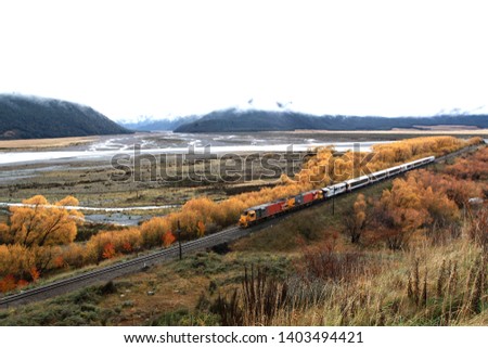 train going on the way on authum in newzealand with mountain background