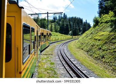 Train From Jungfrau And Green Forest