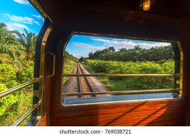 Train In The Jungle Of Malaysia.