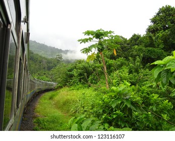 Train In The Jungle Of Middle Malaysia