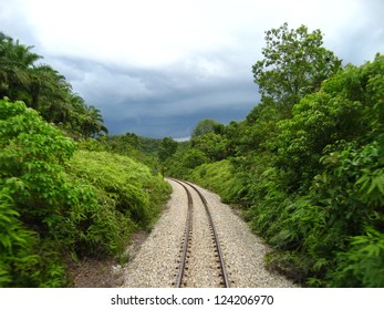 Train In The Jungle Of Middle Malaysia