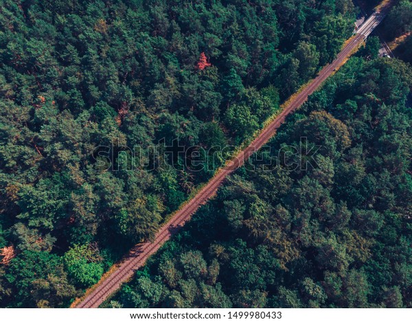 train line in a\
green forest from a drone\
view