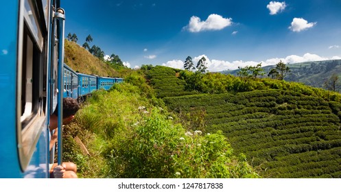 Train From Nuwara Eliya To Kandy Among Tea Plantations In The Highlands Of Sri Lanka
