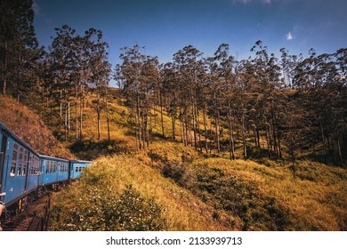 Train From Nuwara Eliya To Kandy Among Tea Plantations In The Highlands Of Sri Lanka