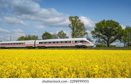 The train passes through a sea of rape flowers