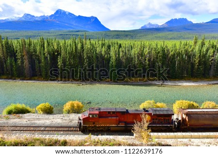 Train passing famous Morant's curve at Bow Valley in autumn ,Banff National Park, Canadian Rockies,Canada.
