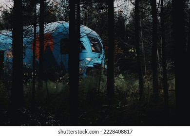 A train passing through the forest