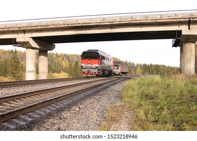 train passing under the bridge