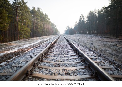 Train rails in winter time, Poland