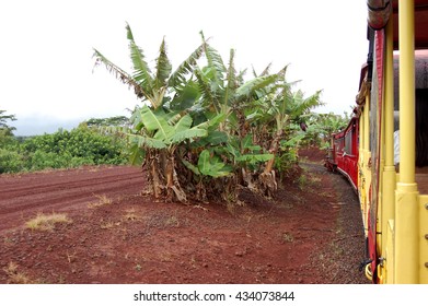 Train Ride In Dole Plantation Images Stock Photos Vectors Shutterstock