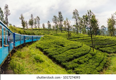 Train Ride From Ella  To Kandy Among Tea Plantations In The Highlands Of Sri Lanka