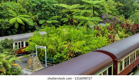 Train Station Kuranda In The Rainforest Near Cairns Australia