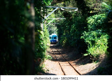 A train through the forest.