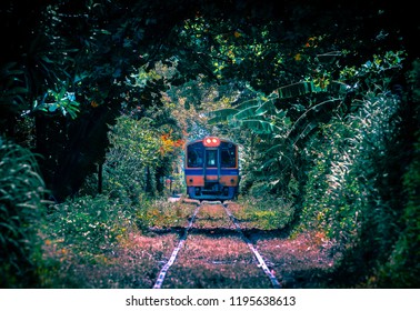 Train through the tree tunnel , Thai Railway Wongwain yai to Mahachai Line in Bangkok,Thailand - Shutterstock ID 1195638613