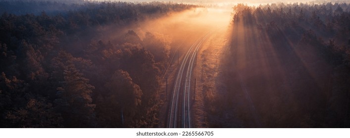 The train track cuts through the stunning autumn forest, creating a sense of adventure and wonder. The warm sunrays highlight the rusty rails and the long shadows cast by the tall trees add an eerie 