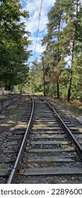 Train track in a forest