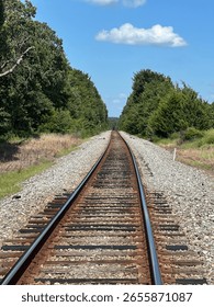 Train track lined by trees