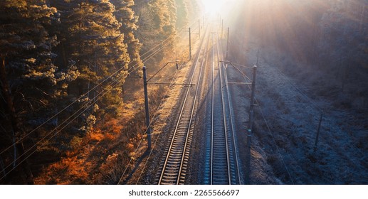 The train track twists and turns through the stunning autumn forest, with the sun's rays breaking through the trees to illuminate the rusted rails. The long shadows add a touch of drama to the scene, 