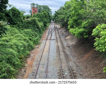 Train tracks in downtown Charlottesville, Virginia