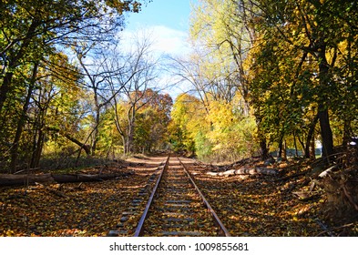 Train Tracks In Fall, New Windsor, New York