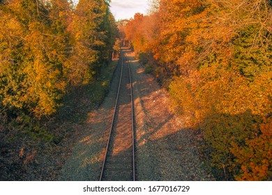 Train Tracks Going Through A Forest In Bristol UK