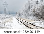 Train tracks leading off into a snowy, frozen landscape with hydro towers alongside the tracks under gray skies